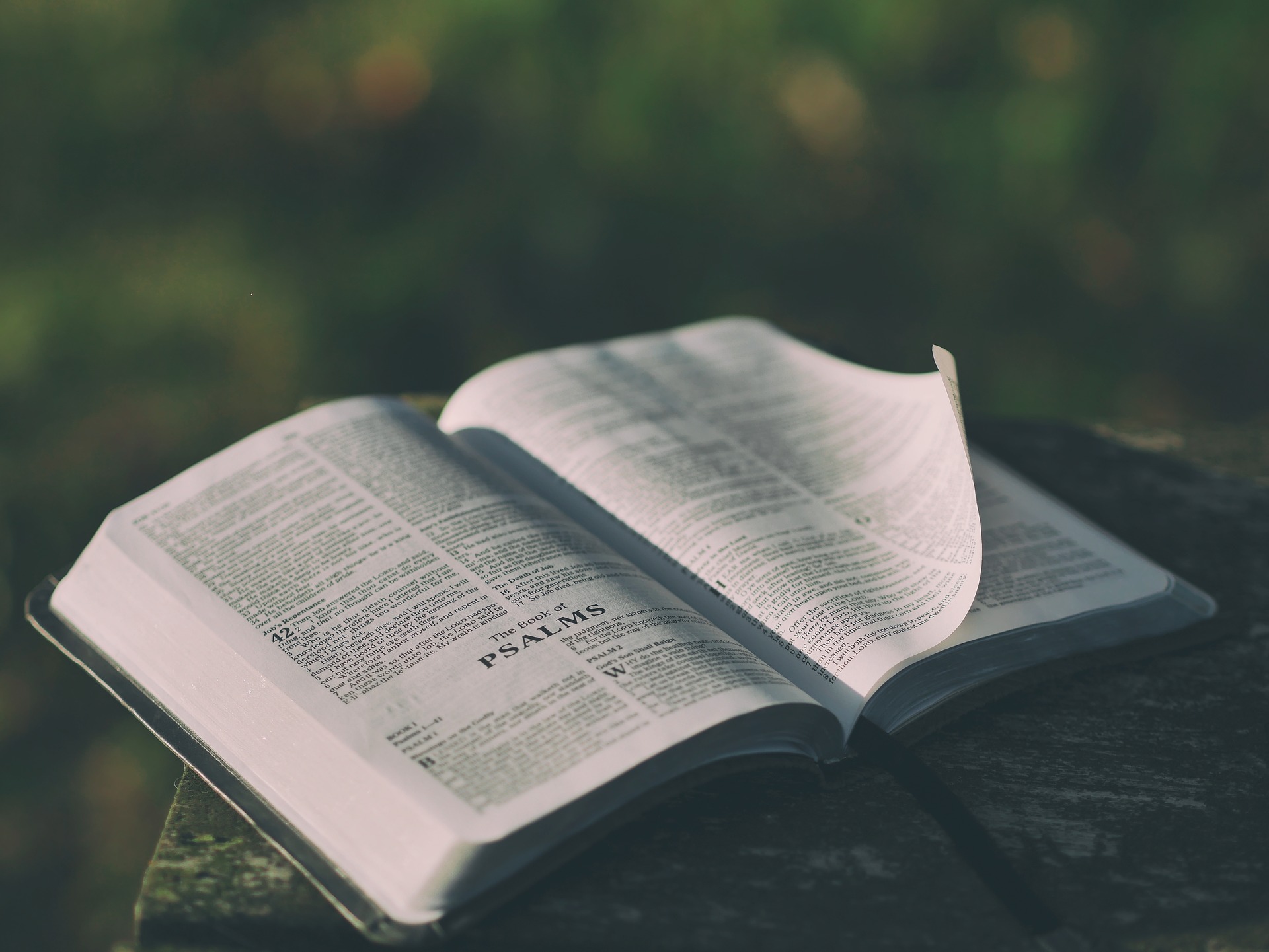 Biblical Understanding Key #1: The Bible is One Book